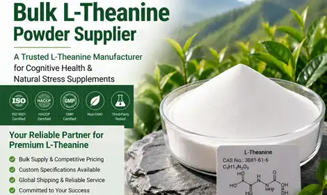 Your Definitive Guide to Sourcing L-Theanine Powder